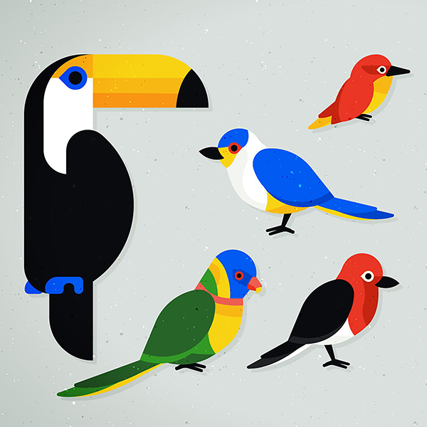 Tim, de Flierefluiter